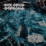 Sick Sinus Syndrome/Eat the Decay split 12